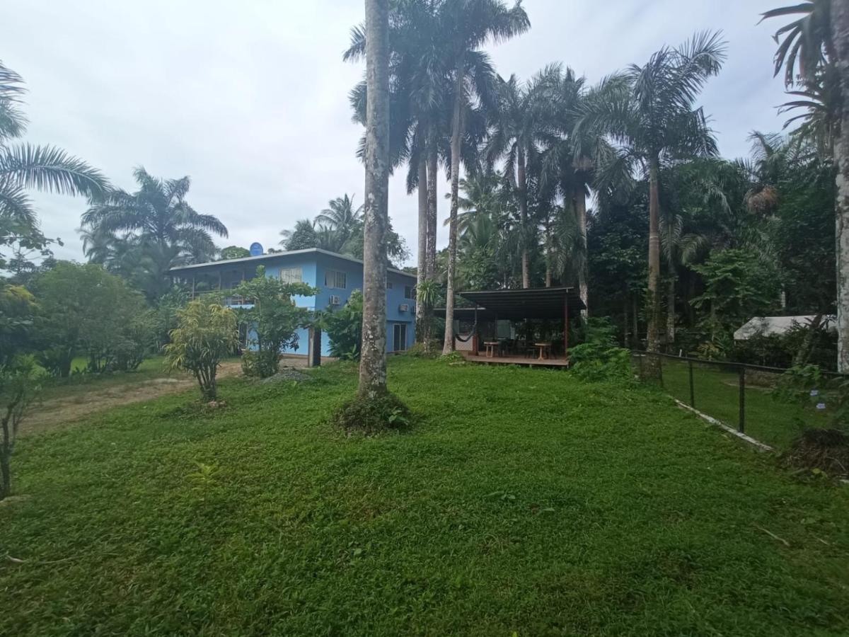 La Luciernaga Big Creek Bed & Breakfast Бокас дел Торо Екстериор снимка