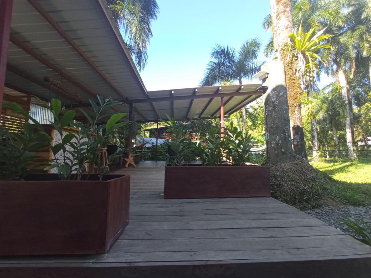 La Luciernaga Big Creek Bed & Breakfast Бокас дел Торо Екстериор снимка